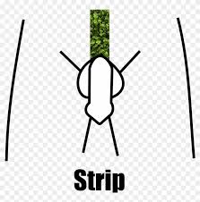 Just cut out the template and place over just cut out the template and place over the target area. 14 Fun Pubic Hair Styles For Men Women Live Beauty Public Hair Styles Men Free Transparent Png Clipart Images Download