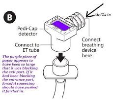 Responds quickly to exhaled co2 with a color change from. Nellcor Easy Cap Ii Co2 Detektor Einmal Kapnometer Packung A 1 Stuck Einweg Detectoren Kapnometrie Kapnographie Diagnostik Notfallmedizin Meier Medizintechnik