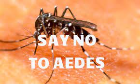 Ingat 10 1 cegah aedes cegah denggi. The Second Attack Worse Say No To Aedes Ridpest Caring