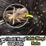 Tafsir Mimpi Kutu Di Erek Erek 2d 3d 4d Buku Mimpi Dan Kode Alam Di 2021 Mimpi Tafsir Mimpi Buku