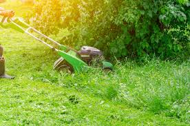 Shop our selection to find the tools you need today, including: First Grass Cut Of 2021 14 Tips Before You Mow The Lawn