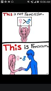 The Real Definition Of Feminism Citacoes Feministas Citacoes Criticas Sociais