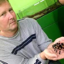 James H. Dale (@JamesHDale)