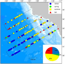On Effort Visual Detections Of Short Beaked Common Dolphins