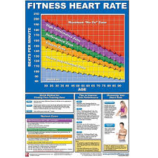 Productive Fitness Poster Series Heart Rate Chart Non Laminated