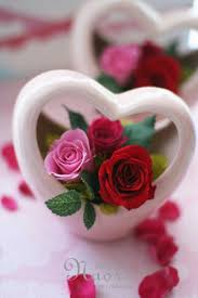 Nezhnaya Lyubov In 2020 Beautiful Rose Flowers Red Roses Wallpaper Flower Wallpaper