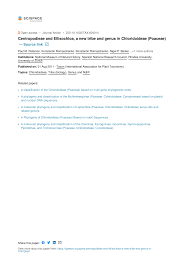 Image result for Brachyachne patentiflora