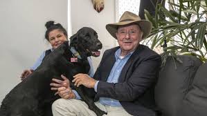 Australia's favourite vet, dr harry cooper has been entertaining and informing audiences for over 30 years. Why Dr Harry Thinks Pets In The Office Could Be The New Normal Post Covid The Canberra Times Canberra Act