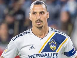 Scroll below to learn details information about junior samples's salary, estimated. Zlatan Ibrahimovic Net Worth 2021 Whatstheirnetworth