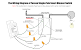 Ceiling Fan Light Switch Wiring