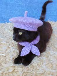 French Beret Hat And Scarf Beret Hat For Cat Cat Scarf Purple Kitten Outfit Cat Accessories Black Cat Costume Pet Costume In 2021 Hat For Cat Cat Hat Pattern Black Cat Costumes