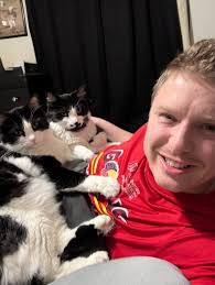 need help rehoming two cats?