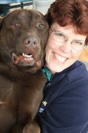 Note From the President Dogs On Call to Help Fund Business Cards