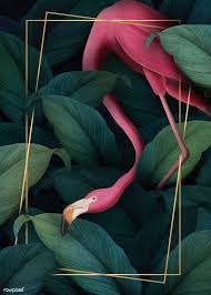 Download Premium Illustration Of Tropical Flamingo On A Rectangle Golden Flamingo Wallpaper Painting Wallpaper Bird Wallpaper