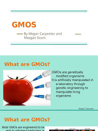 Manufacturers use genetic modification to give foods desirable traits. Gmo Pros Cons Poster Genetically Modified Organism Genetic Engineering