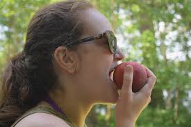 Top 10 Picnic Foods to Enjoy this Summer