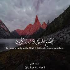 أ م ن ي ج يب ال م ض ط ر إ ذ ا تونس المسلمة الأبية
