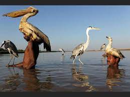 Oasis Overland - See these remarkable Mohana fishermen and... | Facebook