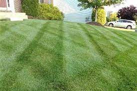Hired 220 times on greenpal. Lawn Landscape Experts In Bristow Haymarket Manassas Va Areas Patriot Lawn And Landscape