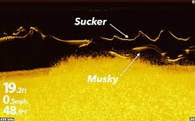 Jun 09, 2021 · the bad news: Live View Muskies