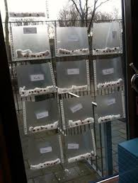 Pin Von Stephanie Bidaux Auf Eko Fruhling Im Kindergarten Kinder Kinderbasteleien