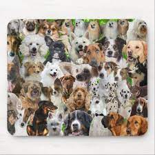 Solve the jigsaw puzzle to the kids: Dog Collage Mouse Pad Zazzle Com Dog Jigsaw Puzzles Dogs Puzzle Shop