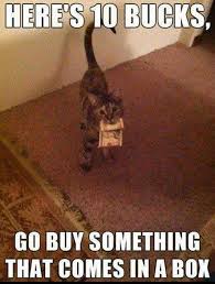 33 Funny Cat Memes That Never Fail To Make Us Lol I Can Has Cheezburger