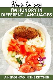 It's tengo hombre if you need any more spanish words i'm here. How To Say I M Hungry In 21 Different Languages A Hedgehog In The Kitchen