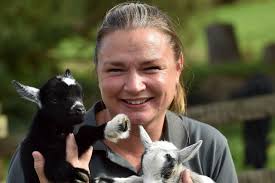 How this couple went from working as nurses to running an alpaca farm and  glamping site in the west