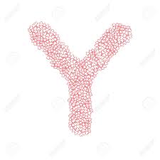 Once you create alphabets in this image you like and write alphabet letters. The Letter Y In The Alphabet Heart Flower Bush Illustration Set Flat Design Pink Color Isolated On White Background Vector Eps10 Royalty Free Cliparts Vectors And Stock Illustration Image 72839512