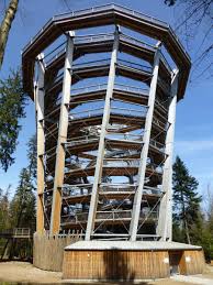 observation tower of the black forest canopy walk bad wildbad 2014 structurae