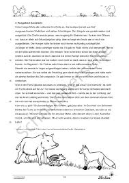 Tipps und tricks für die zusammenfassung von sachtexten (klasse 7 und 8) 1. Eine Lese Reise Zu Den Tieren Des Waldes Lernbiene Verlag