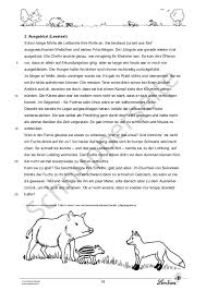 Sachtext tiere klasse 6 | leseproben klasse 4 und 3 grundschule. Eine Lese Reise Zu Den Tieren Des Waldes Lernbiene Verlag