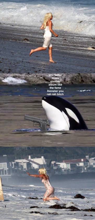 images?q=tbn:ANd9GcRFBP7RRKEqGMfDaD6GkXD