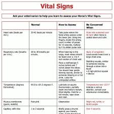Vitals Horse Farm Info And Tips Vital Signs Horse Care