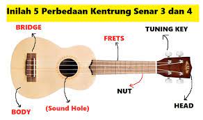 Inilah 5 Perbedaan Kentrung Senar 3 Dan 4 Calonpintar Com