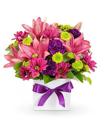 Maybe you would like to learn more about one of these? Flowers From 39 Easyflowers Australia Send Flowers Online Australia Wide With Australia S Favourite Online Florist