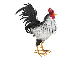 Choose from contactless same day delivery, drive up and more. Regal Art And Gift 21 Inch Home And Garden Rooster Decor Statuary 12376