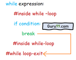 Using python continue in a for loop example. Python Break Continue Pass Statements With Examples