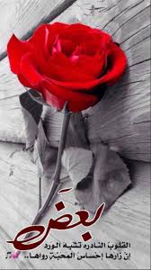 ASHRAF ASKER (altaer707)