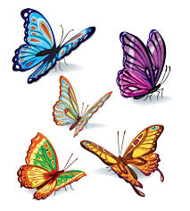 Image result for free image of a butterfly