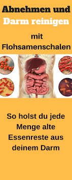 We did not find results for: Darm Reinigen Mit 2 Zutaten Kannst Du Eine Effektive Naturliche Darmreinigung Machen Die Wirkung Von Darm Reinigen Naturliche Darmreinigung Flohsamenschalen