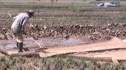 Héjo pagunungan paul lautan héjo paul langit na haté kuring. Kumpulan Lirik Lagu Sunda Bapa Tani Download Kumpulan Lagu Wedding