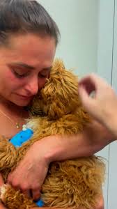 Any ideas? Perth, Western Australia