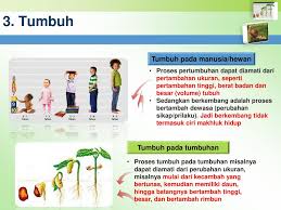 Kemahiran saintifik unit 2 : Ipa Terpadu Ciri Ciri Makhluk Hidup Ppt Download
