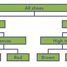 Shoe Dichotomous Key Howtosmile