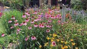Check spelling or type a new query. Turn Your Yard Into A Micro Prairie With Native Plants
