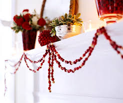 Image result for decorating with cranberries Vines