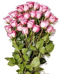 Its challenges showed through in its finances. Whole Foods 2 Dozen Roses 19 99 For Amazon Prime Members