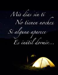 Corría por el bosque en mi forma lobuna, tenia que pensar las cosas, tenia que alejarme de la casa de los cullen, no quería hablar con ninguno de ellos justo ahora, y es que todos habían estado de acuerdo, los habían apoyado y aceptado su propuesta!! Cuarenta Y Nueve Moscas En La Casa Moscas En La Casa Shakira Canciones